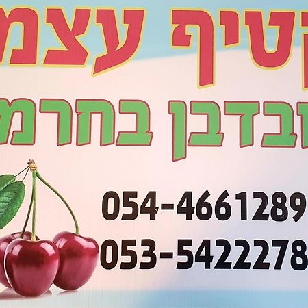 צימרים בגולן דובדבן בחרמון Mas'ada Exterior photo